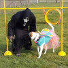 2023_hundeplus_schnappschuesse_385ebcaf-c1fd-45c3-b073-1b447871eeca