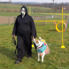 2023_hundeplus_schnappschuesse_3c3ee196-1ff5-47f4-b378-262ca0adf957