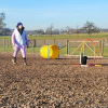 2023_hundeplus_schnappschuesse_46c828a9-4aca-4ac5-bf69-757d85de97ec