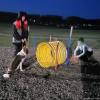 2023_hundeplus_schnappschuesse_5774354c-0789-4c0b-8206-afe0511db247