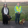 2023_hundeplus_schnappschuesse_67b0c1ac-dec2-454e-bf4e-8a57a997646c