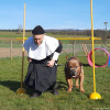 2023_hundeplus_schnappschuesse_690e1242-78b5-491f-a8ce-1b30a259d172