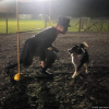 2023_hundeplus_schnappschuesse_6dd862cd-c222-4af9-b7cf-78ab86beb002