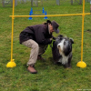 2023_hundeplus_schnappschuesse_6eb881b7-9201-4c14-9ae2-171b27f23c79