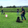 2023_hundeplus_schnappschuesse_76e25e83-6e12-4f53-bd4e-f73d30a79592