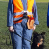 2023_hundeplus_schnappschuesse_820218ec-1c50-49a9-a14a-bd0dfb743ff2