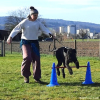 2023_hundeplus_schnappschuesse_83af7a8a-94b5-44b2-9257-e8058a9b2d6a