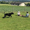 2023_hundeplus_schnappschuesse_8f071ce7-2199-416e-a0cc-6ba8d4eb7d22
