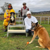 2023_hundeplus_schnappschuesse_908eb058-5c02-4f55-b847-675531fa603f