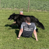 2023_hundeplus_schnappschuesse_IMG_1445