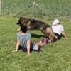 2023_hundeplus_schnappschuesse_IMG_1459