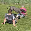2023_hundeplus_schnappschuesse_IMG_1470