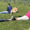2023_hundeplus_schnappschuesse_IMG_1484
