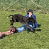 2023_hundeplus_schnappschuesse_IMG_1503