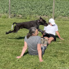 2023_hundeplus_schnappschuesse_IMG_1505