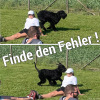2023_hundeplus_schnappschuesse_IMG_1597