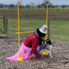 2023_hundeplus_schnappschuesse_IMG_2244