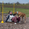 2023_hundeplus_schnappschuesse_IMG_2279