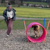 2023_hundeplus_schnappschuesse_IMG_2313