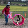 2023_hundeplus_schnappschuesse_IMG_2323