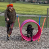 2023_hundeplus_schnappschuesse_IMG_2334