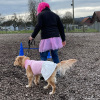 2023_hundeplus_schnappschuesse_IMG_2347