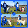 2023_hundeplus_schnappschuesse_IMG_3060