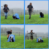 2023_hundeplus_schnappschuesse_IMG_7267