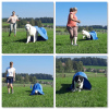2023_hundeplus_schnappschuesse_IMG_7281