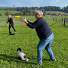 2023_hundeplus_schnappschuesse_IMG_7611