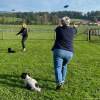 2023_hundeplus_schnappschuesse_IMG_7635