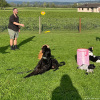 2023_hundeplus_schnappschuesse_IMG_7649