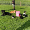2023_hundeplus_schnappschuesse_IMG_7656