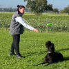 2023_hundeplus_schnappschuesse_IMG_7661