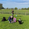 2023_hundeplus_schnappschuesse_IMG_7663