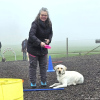 2023_hundeplus_schnappschuesse_a9573018-24e5-4098-8a8b-adad252a4905