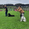 2023_hundeplus_schnappschuesse_a9588ee5-63d5-4516-8a7b-adf4b20f018e