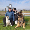 2023_hundeplus_schnappschuesse_ac0382c3-6c4b-4827-8bd1-a078c03aef11