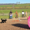 2023_hundeplus_schnappschuesse_ac37513b-2a89-4e85-b2e8-249ee660a1eb