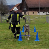 2023_hundeplus_schnappschuesse_b5e162be-9e89-43dd-b6c6-9b66d07cf2aa