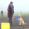 2023_hundeplus_schnappschuesse_c0423e78-82d4-44c4-89d0-e4bc506d9d30
