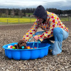2023_hundeplus_schnappschuesse_cef7bf8e-fc06-498b-91e1-a123ce618a02