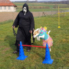 2023_hundeplus_schnappschuesse_e96ef3ca-e785-461d-9bd8-20f7cef8515e