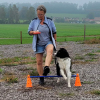 2023_hundeplus_schnappschuesse_ea9e8a7b-9024-42f8-b66e-963925eaeef9