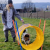 2023_hundeplus_schnappschuesse_fa989bb0-199a-4059-bc45-cf376518bb15