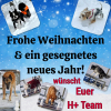 2024-12_hundeplus_FotodesMonats_IMG_1270