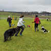 2024_Hundeplus_Schnappschuesse_IMG_3081