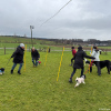 2024_Hundeplus_Schnappschuesse_IMG_3087