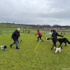 2024_Hundeplus_Schnappschuesse_IMG_3088