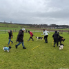 2024_Hundeplus_Schnappschuesse_IMG_3089